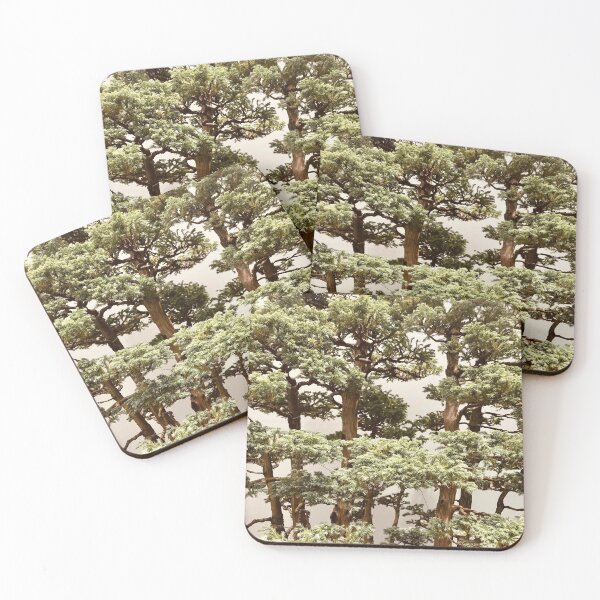Item preview, Chinese Juniper | Bonsai Trees Nature Photography designed and sold by Jacqueline Elise.