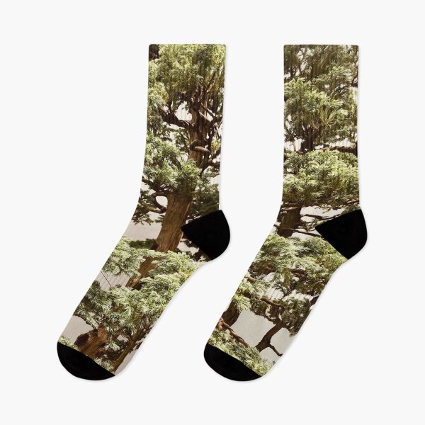 Item preview, Chinese Juniper | Bonsai Trees Nature Photography designed and sold by Jacqueline Elise.