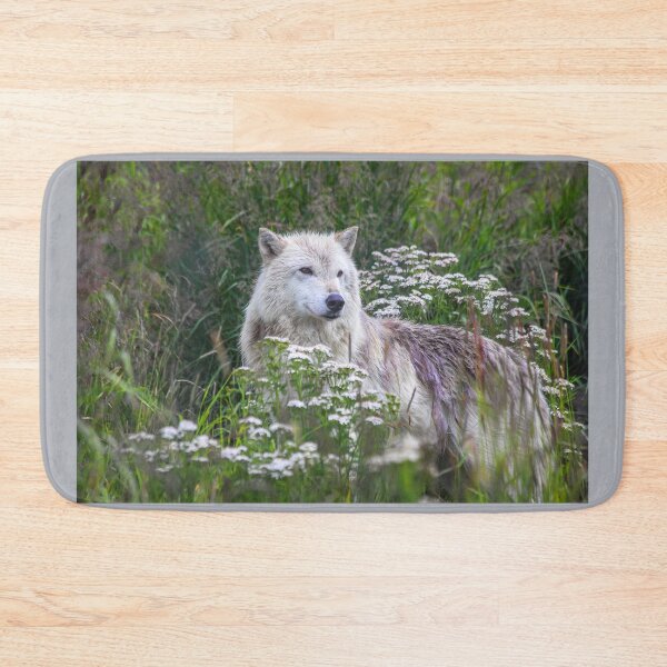 Item preview, USA. Alaska. Alaska Wildlife Conservation Center. Arctic Wolf. designed and sold by vadim19.
