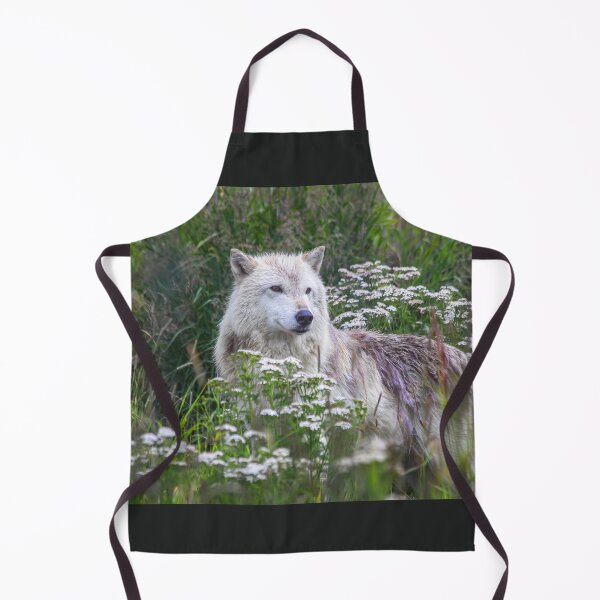 Item preview, USA. Alaska. Alaska Wildlife Conservation Center. Arctic Wolf. designed and sold by vadim19.