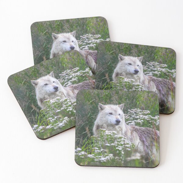 Item preview, USA. Alaska. Alaska Wildlife Conservation Center. Arctic Wolf. designed and sold by vadim19.