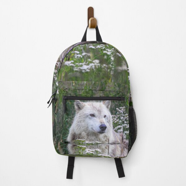 Item preview, USA. Alaska. Alaska Wildlife Conservation Center. Arctic Wolf. designed and sold by vadim19.