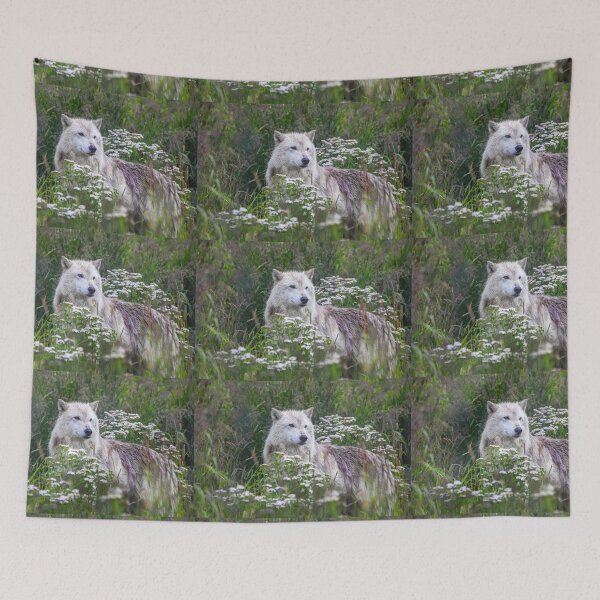 Item preview, USA. Alaska. Alaska Wildlife Conservation Center. Arctic Wolf. designed and sold by vadim19.