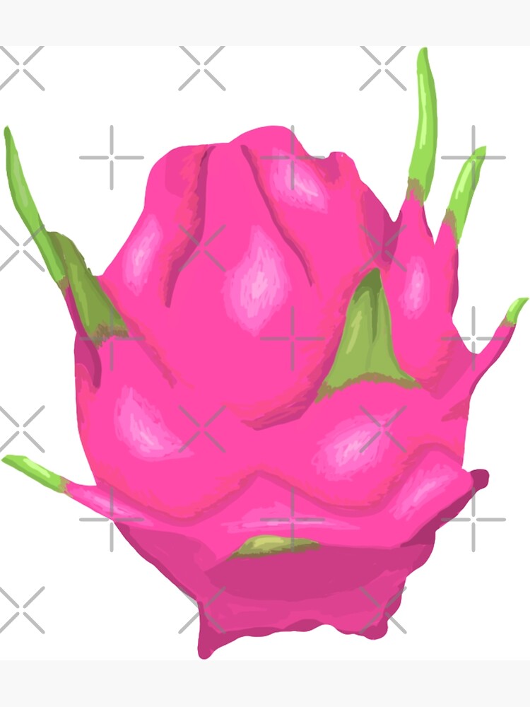 "Dragon Fruit Drawing" Poster by misimichu | Redbubble