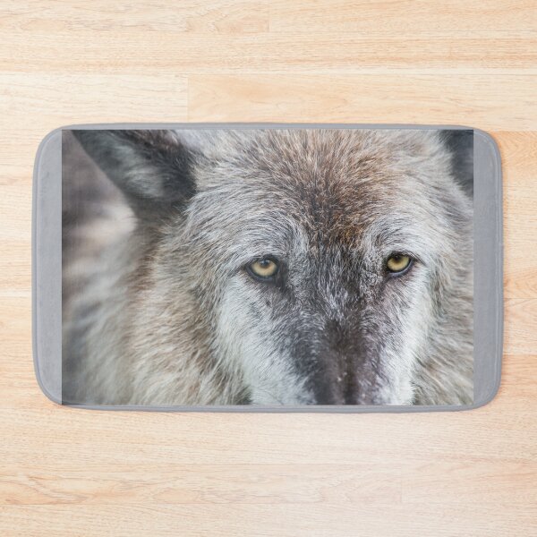 Item preview, USA. Alaska. Alaska Wildlife Conservation Center. Timber Wolf. Close Up. designed and sold by vadim19.