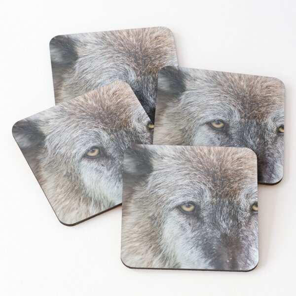 Item preview, USA. Alaska. Alaska Wildlife Conservation Center. Timber Wolf. Close Up. designed and sold by vadim19.