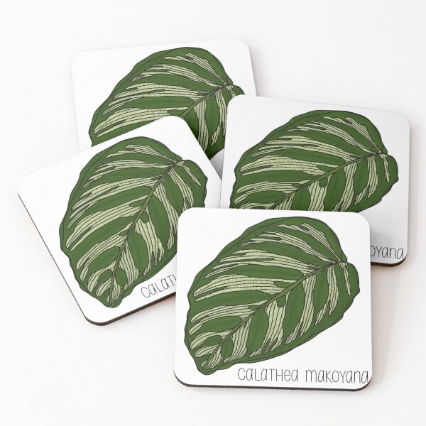 Item preview, Calathea Makoyana Illustration with Name Label designed and sold by RiverBendArt.