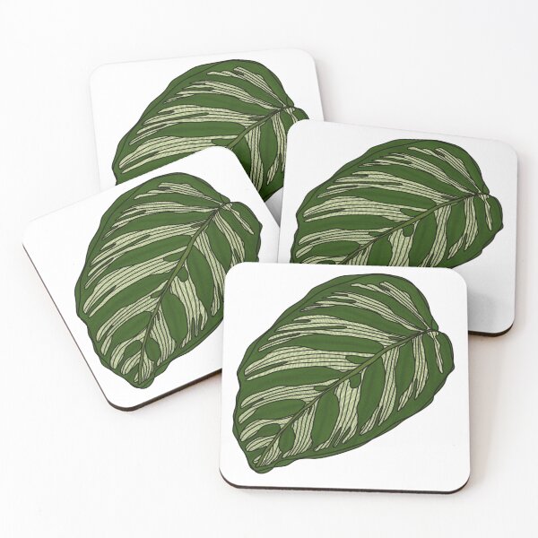 Item preview, Calathea Makoyana Illustration designed and sold by RiverBendArt.