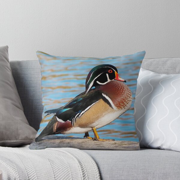 Item preview, Wood Duck Posing Next To a Pond designed and sold by BackyardBirder.