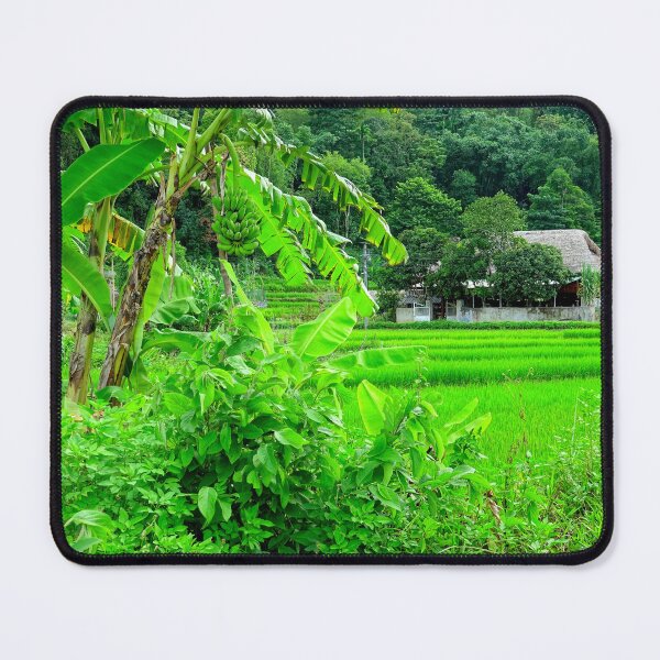 Item preview, Vietnam - Ha Giang, Tha Village, Lup, Me designed and sold by franck380.