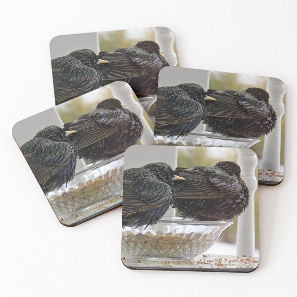 Item preview, European Starling No.4 designed and sold by MaryLinH.