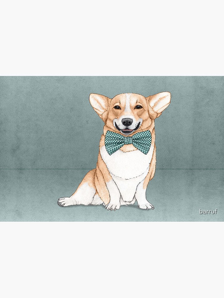 Corgi Dog by barruf