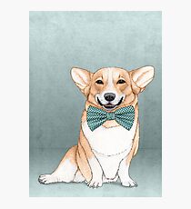 Corgi Dog Photographic Print