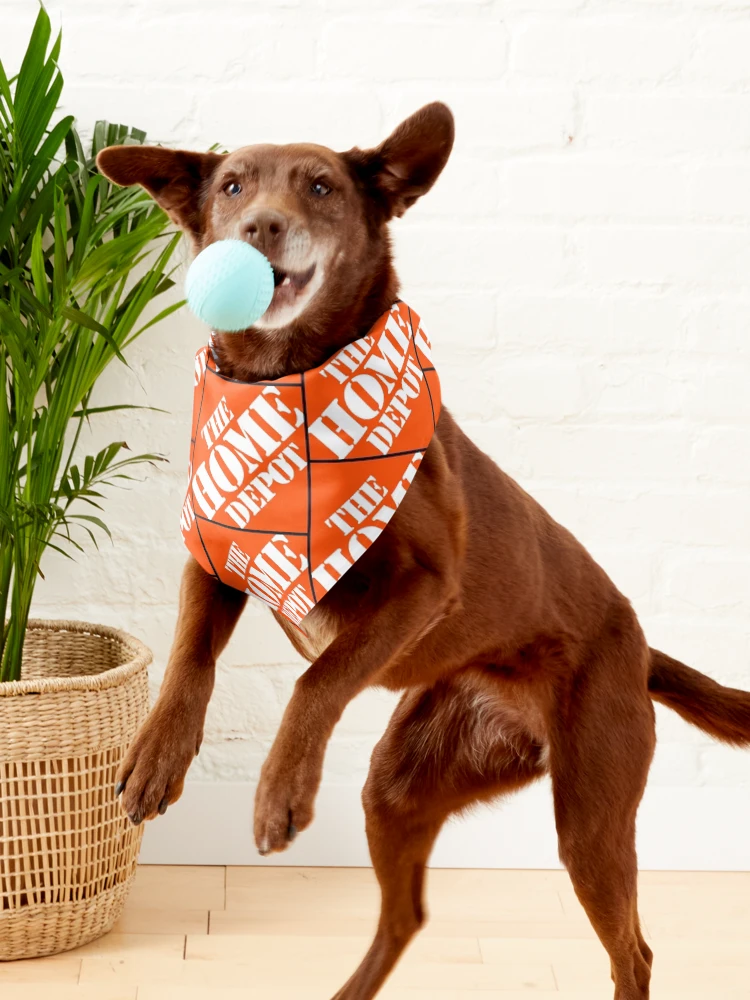 Pets at home dog bandana sale