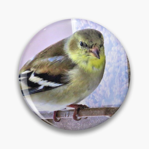 Item preview, Goldfinch at Feeder No.3 designed and sold by MaryLinH.