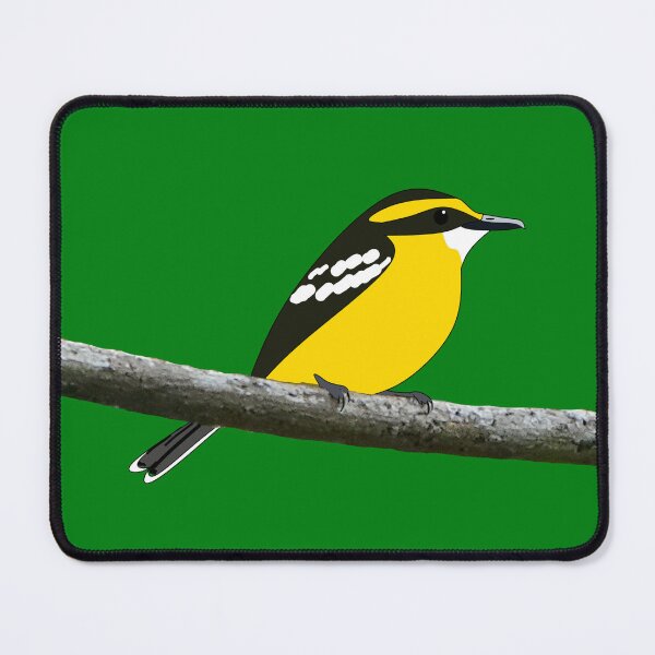Item preview, Yellow-breasted Boatbill designed and sold by CairnsBirders.
