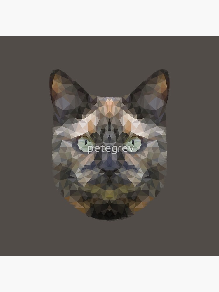 The Tortoiseshell by petegrev