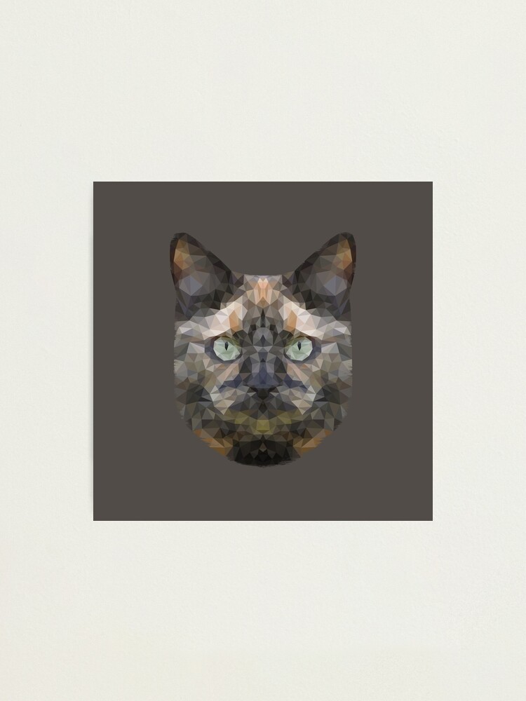 Alternate view of The Tortoiseshell Photographic Print
