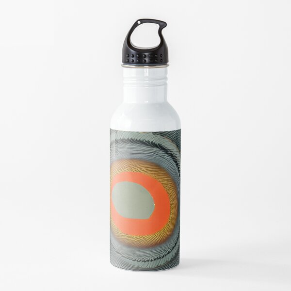Visual illusion with moving spiral #Visualillusion #movingspiral #Visual #illusion #moving #spiral Water Bottle
