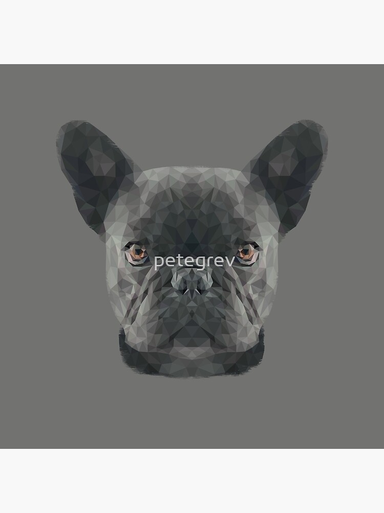 The French Bulldog by petegrev