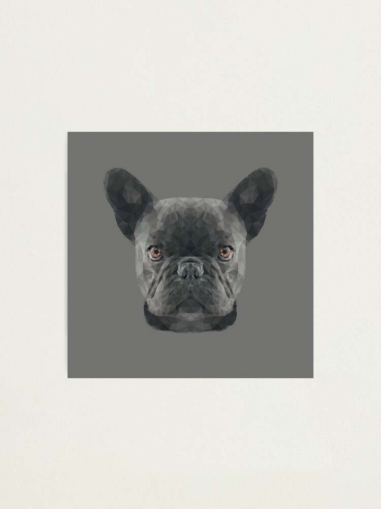 Alternate view of The French Bulldog Photographic Print