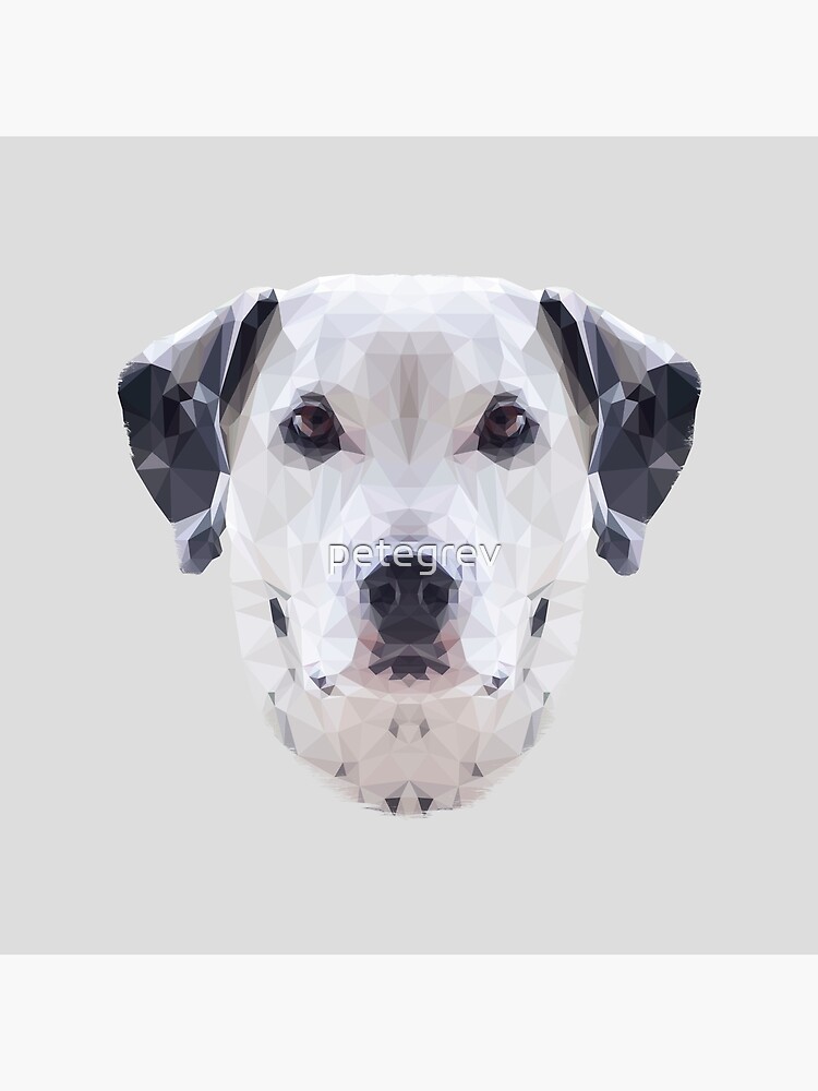 The Dalmatian by petegrev