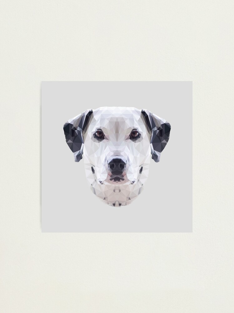 Alternate view of The Dalmatian Photographic Print