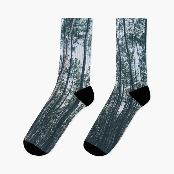Item preview, Forest of Tall Trees | Nature Landscape Photography designed and sold by Jacqueline Elise.