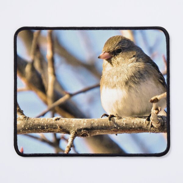 Item preview, Junco No.4 designed and sold by MaryLinH.