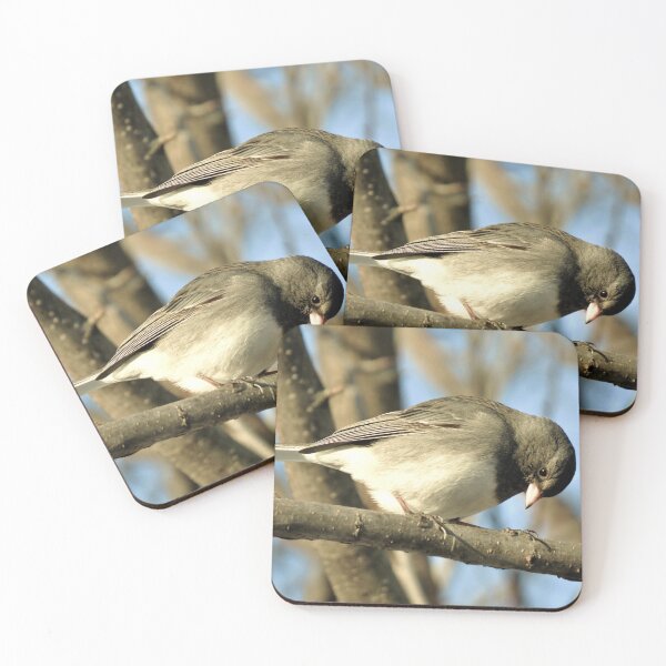 Item preview, Junco No.5 designed and sold by MaryLinH.