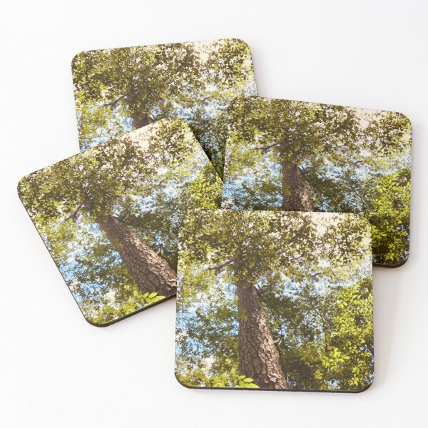 Item preview, Tall Tree in the Sun | Nature Photography designed and sold by Jacqueline Elise.