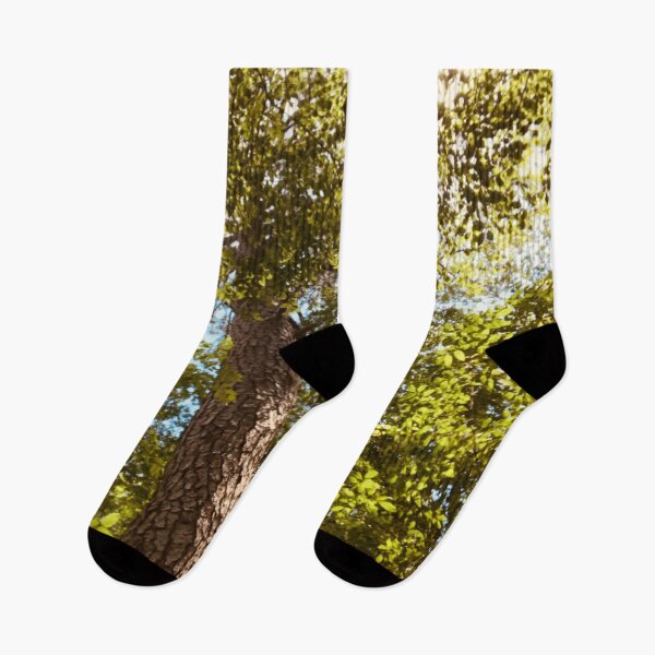 Item preview, Tall Tree in the Sun | Nature Photography designed and sold by Jacqueline Elise.