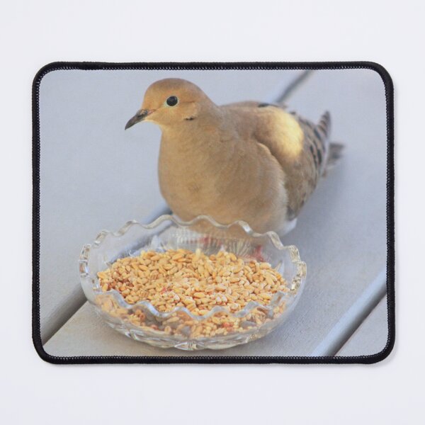 Item preview, Mourning Dove No.2 designed and sold by MaryLinH.