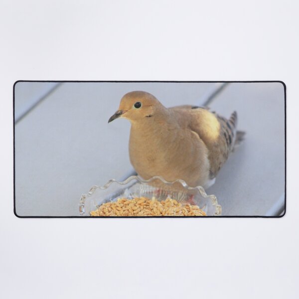 Item preview, Mourning Dove No.2 designed and sold by MaryLinH.