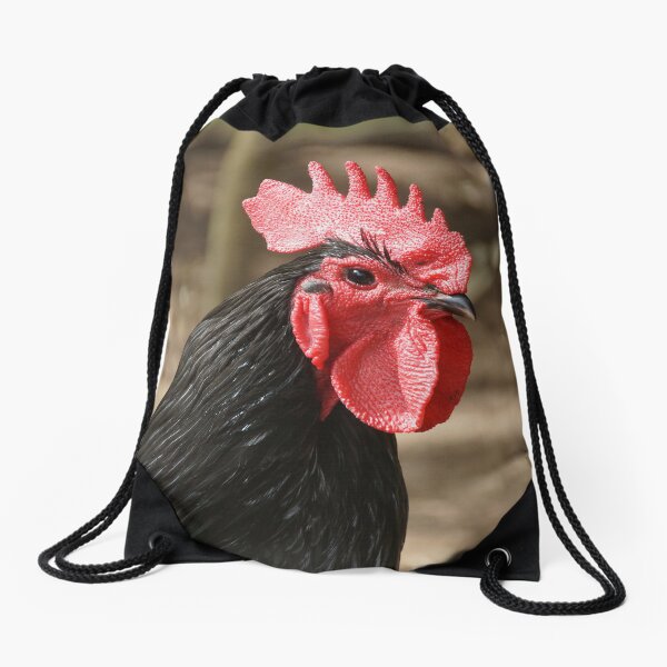 Rooster - Magpie Springs - Adelaide Hills - by South Australian artist Avril Thomas Drawstring Bag