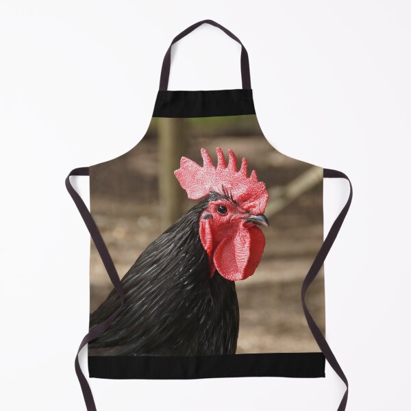 Item preview, Rooster - Magpie Springs - Adelaide Hills - by South Australian artist Avril Thomas designed and sold by MagpieSprings.