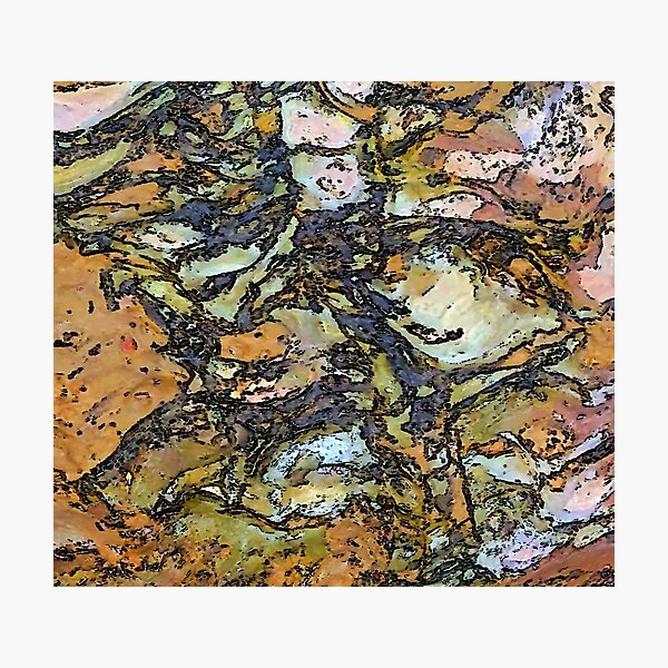 Seaside Rocks Photographic Print