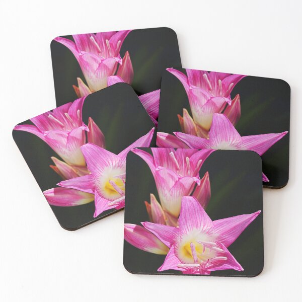 Item preview, Hot Lush Pink And White Flowers designed and sold by Joy Watson - Natural Light Photography .