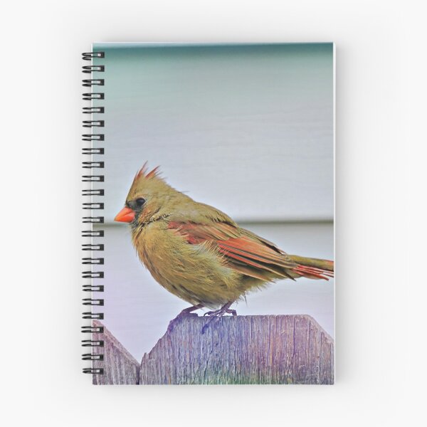 Item preview, Bird Watching  2 designed and sold by kcrystalfriend.