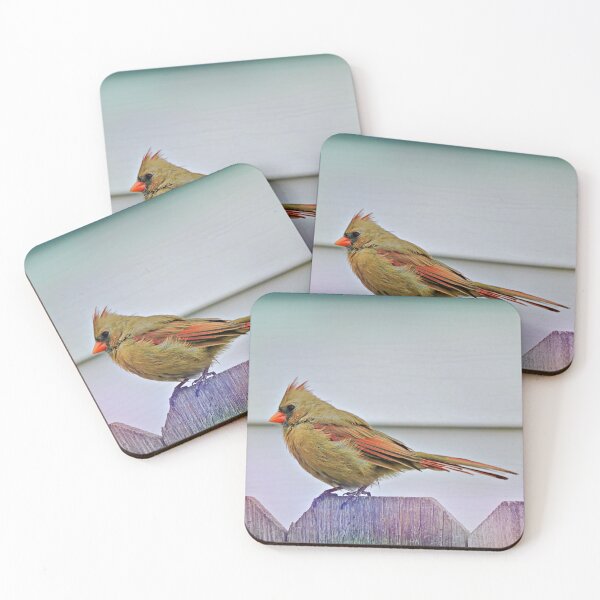 Item preview, Bird Watching  2 designed and sold by kcrystalfriend.
