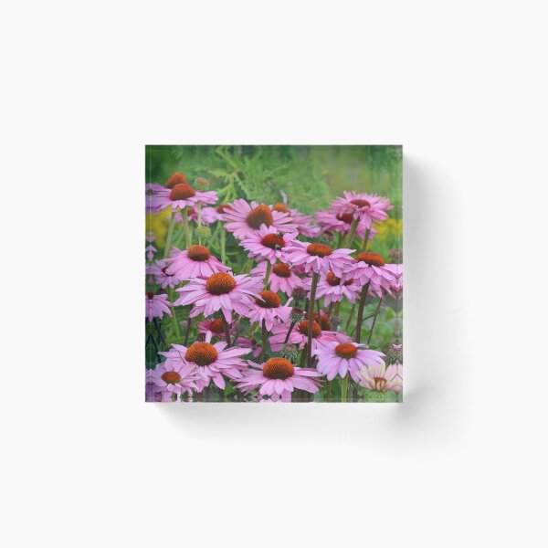 Item preview, Beautiful purple echinacea flowers designed and sold by perlphoto.