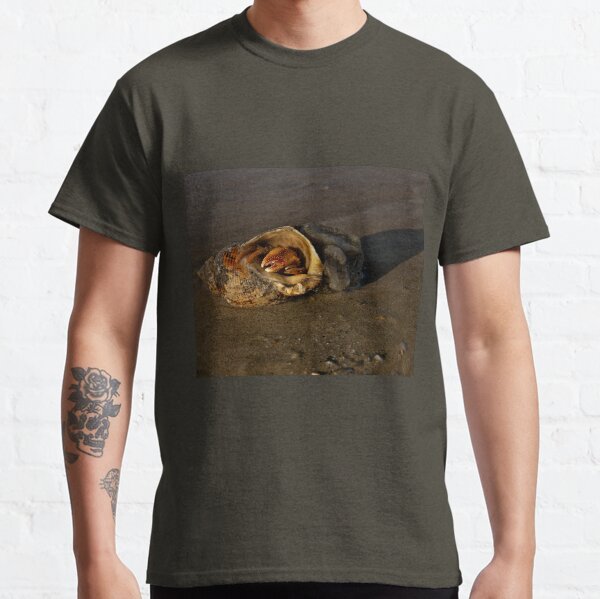 Hermit Crab on Fahan Beach Classic T-Shirt