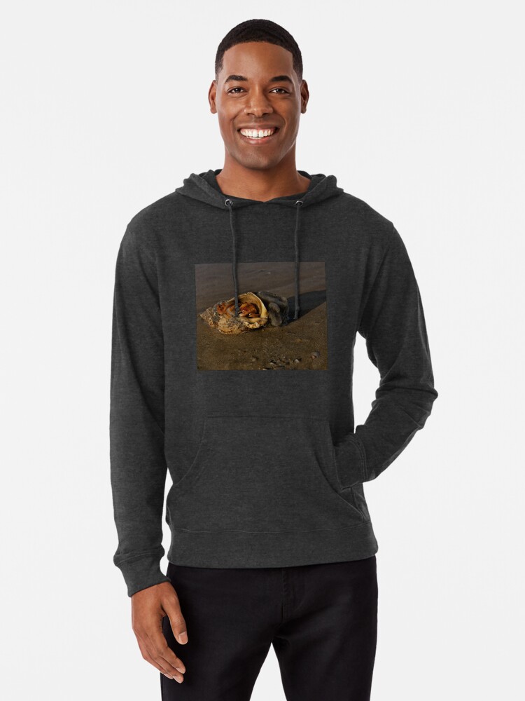 Alternate view of Hermit Crab on Fahan Beach Lightweight Hoodie