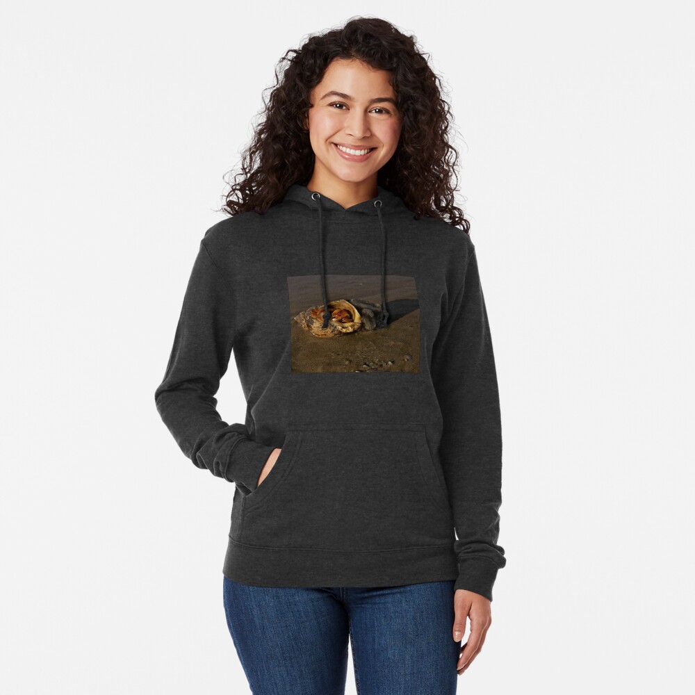 Hermit Crab on Fahan Beach Lightweight Hoodie