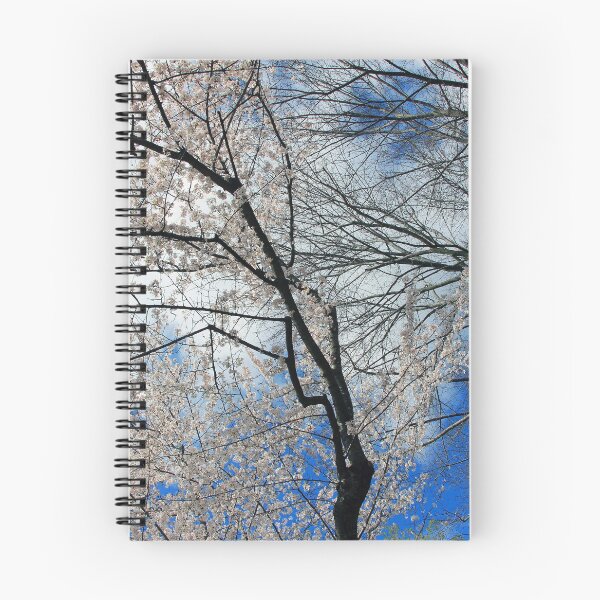 Item preview, Tree Branches In The Sky With Cherry Blossoms designed and sold by Cora Wandel.