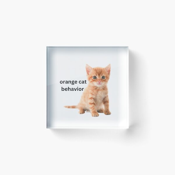 Item preview, orange cat behavior designed and sold by courtneykobza.