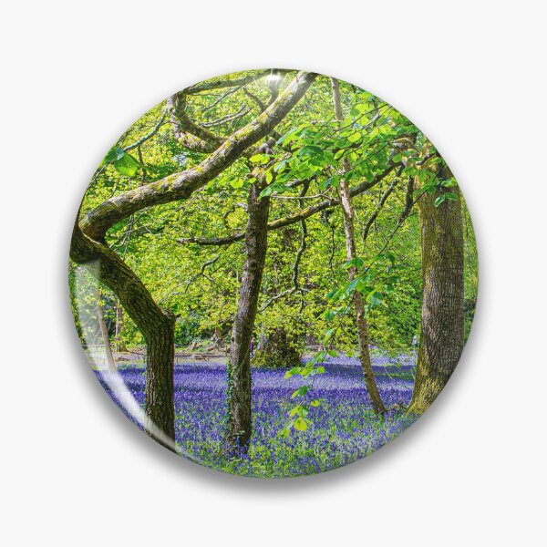 Item preview, English Bluebell Wood, Cornwall,panoramic designed and sold by kathleenjean.