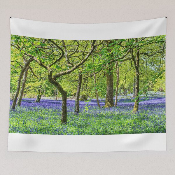 Item preview, English Bluebell Wood, Cornwall,panoramic designed and sold by kathleenjean.