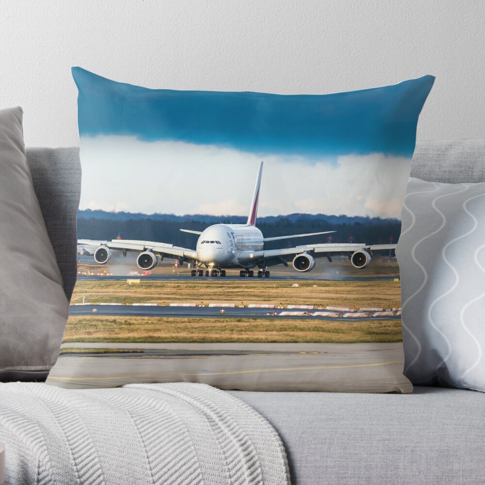 https://ih1.redbubble.net/image.4771419241.9803/throwpillow,large,1000x-bg,f8f8f8-c,0,200,1000,1000.jpg