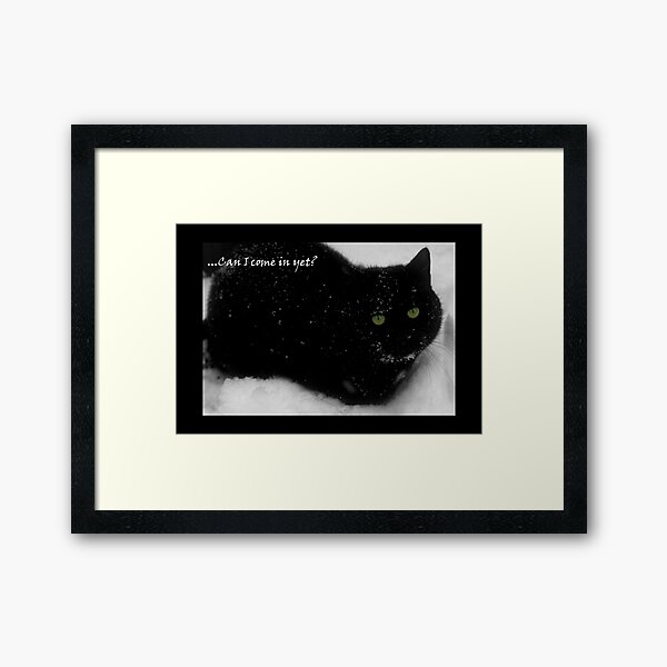 The cat who came in from the cold Framed Art Print
